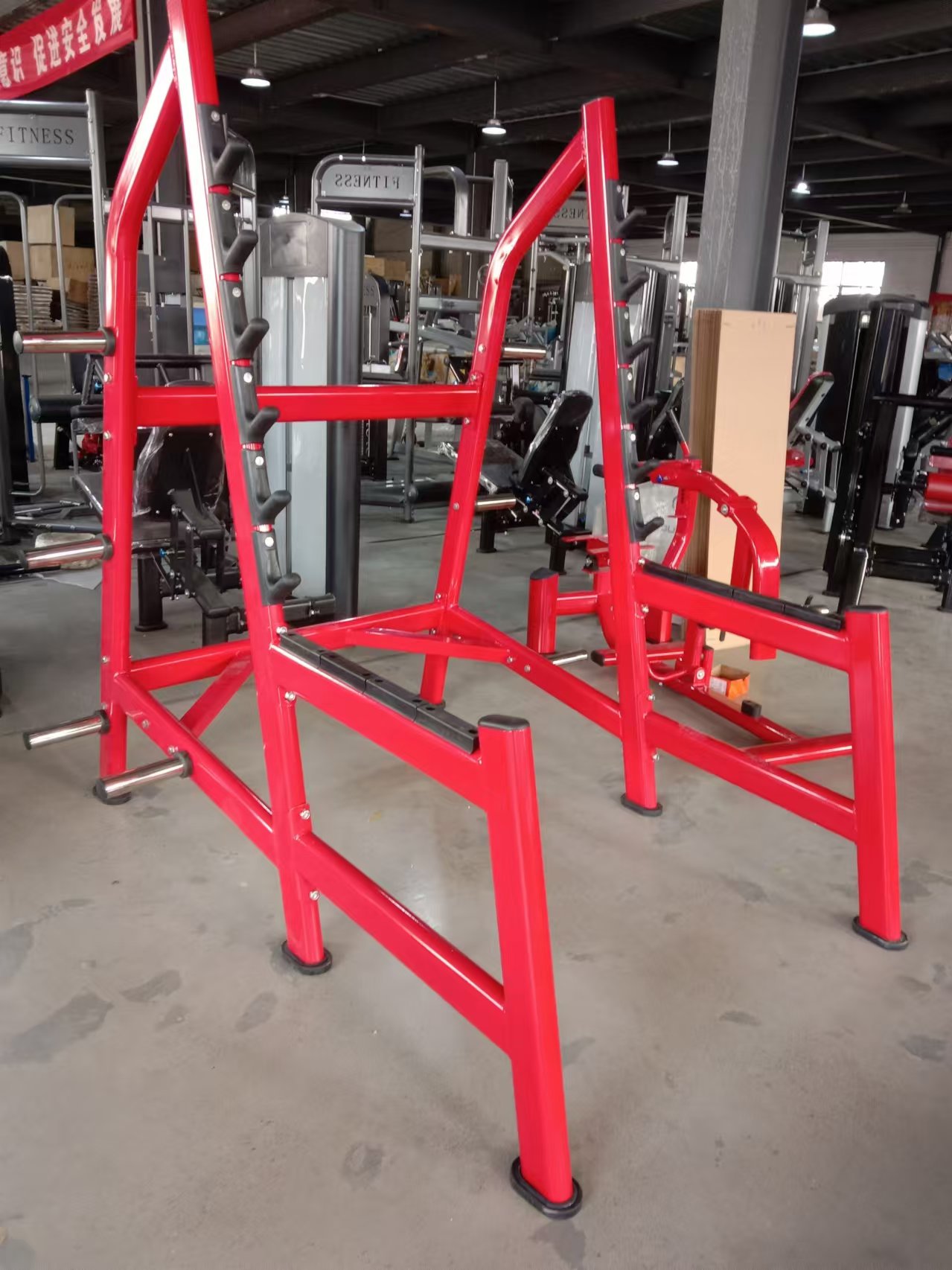 Squat Rack Power Cage, Plate L - Squat Rack Power review and price