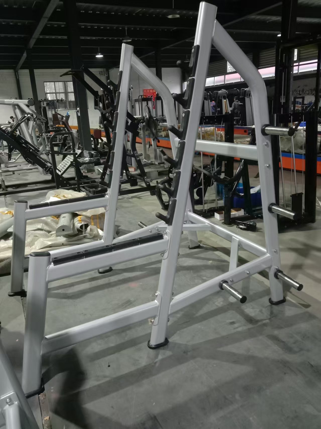 Squat Rack Power Cage, Plate L - Squat Rack Power review and price