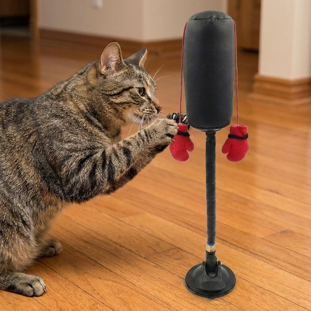 Suction Cup Cat Boxing Toy Sel - Boxing Bag Stand review and price