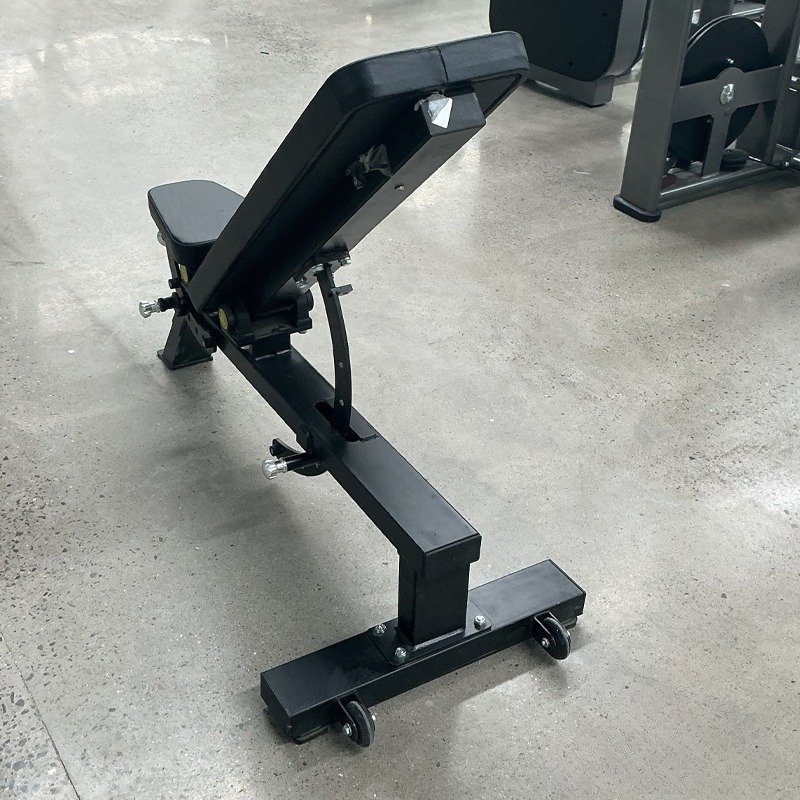 Adjustable Home Gym Dumbbell B - Home Gym Bench review and price